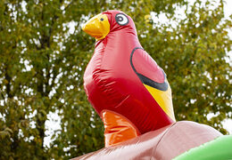 Inflatable slide combo pirate-themed bouncer for sale at JB Inflatables America. Buy inflatable bouncers with slide for kids