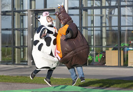 Order inflatable sumo suits in the Cow & Bull theme for both young and old. Buy inflatable sumo suits online at JB Inflatables America