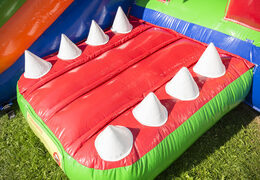 Buy inflatable maxifun bouncer with roof in crocodile theme for children at JB Inflatables America. Order bouncers online at JB Inflatables America