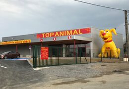 Mega Top Animal Yellow Dog Mascot Order. Buy blow-up promotionals online at JB Inflatables America