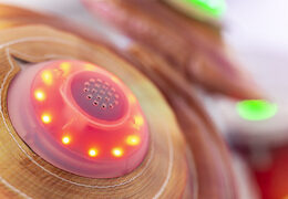 Inflatable Drum Kit With Interactive Game System For Sale