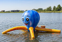 jb waterplay elementen octopus