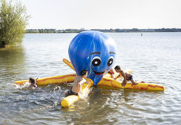 jb waterplay elementen octopus