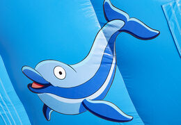 Get your inflatable dolphin slide with the cheerful colors, 3D objects and fun print on the side wall for children. Order inflatable slides at JB Inflatables America