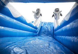 Get your inflatable dolphin slide with the cheerful colors, 3D objects and fun print on the side wall online now. Order inflatable slides at JB Inflatables America