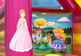 Buy a midi bouncy castle in a standard theme for kids. Buy bouncy castles now at JB Inflatables America online