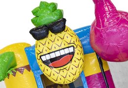 Order mini multiplay inflatable bouncy castle in theme flamingo with slide for children. Inflatable bouncy castles with slide for sale at JB Inflatables America