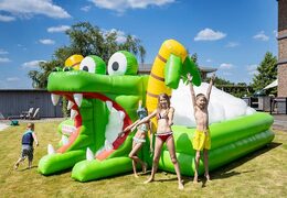 Groot opblaasbaar open bubble boarding park springkussen met schuim bestellen in thema krokodil voor kinderen