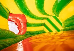 Crawl tunnel crocodile bouncer with obstacles, a climbing ramp and sliding ramp for kids. Buy bouncers online at JB Inflatables America 
