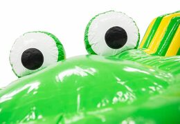 Buy a spacious crawl tunnel crocodile bounce house for kids. Order bounce houses online at JB Inflatables America 