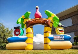 Groot opblaasbaar open bubble boarding park luchtkussen met schuim kopen in thema tropisch caribbean flamingo voor kinderen