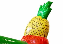 Buy covered slidebox Hawaii bounce house with slide for kids. Order bounce houses online at JB Inflatables America 