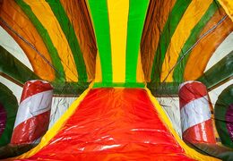 Multiplay XXL Jungleworld bounce house in a unique design with two entrances, a slide in the middle and 3D objects for children to order. Buy bounce houses online at JB Inflatables America 