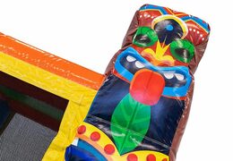 Order multifunctional splash Hawaii bouncy castle at JB Inflatables America. Buy bouncy castles online at JB Inflatables America