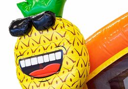 Buy inflatable multiplay bounce house in flamingo theme with connectable baths for children at JB Inflatables America. Order bounce houses online at JB Inflatables America