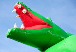 Order unique standard crocodile bouncers with a 3D object on top for children. Buy bouncers online at JB Inflatables America