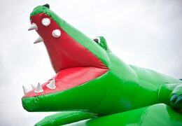Super bouncy castle with roof in crocodile theme for kids. Buy bouncy castles online at JB Inflatables America