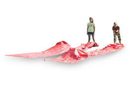 Order red crawl tunnel for both old and young. Buy inflatable items online at JB Inflatables America
