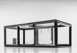 Buy inflatable car capsule to store vehicles