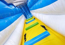 Order large inflatable slide with double slide for children