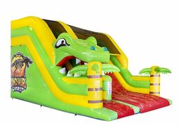 Order inflatable slide in dino theme red and green for children