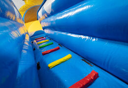 Order Rubber Duck 4 in 1 slide for your children. Buy inflatable slides now online at JB Inflatables America