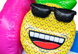 Buy inflatable Mini Multiplay bouncy castle in Flamingo theme for kids. Inflatable bouncy castles for sale at JB Inflatables America