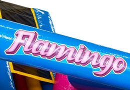 Buy Flamingo themed bouncy castle with extras online