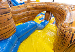 Slide from bounce house Slideworld in pirate theme