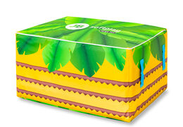 Box for storing softplay in Jungle dino theme for sale at JB