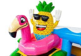 Bouncy Castle Hawaii Flamingo theme with cheerful 3D pineapple in flamingo float online order