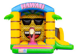 Front of bouncy box in Hawaiian theme with flamingo and pineapple