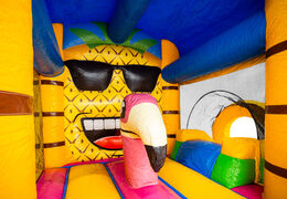 Interior of bouncy box bouncy castle with flamingo and pineapple for sale