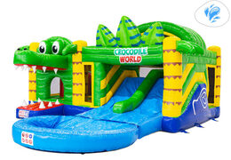 Order Multiplay Double Slide Bouncy Castle online at JB