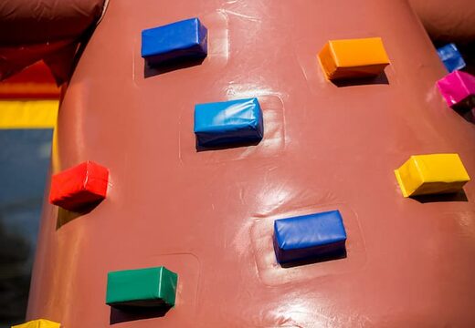 Order a covered multiplay pirate bounce house in a limited height of 2.74 meters and with a slide for both old and young. Buy bounce houses online at JB Inflatables America 