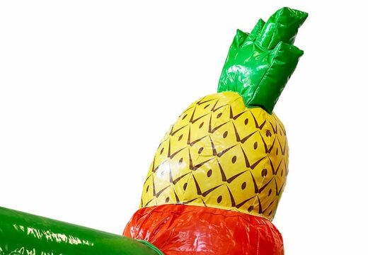 Buy covered slidebox Hawaii bounce house with slide for kids. Order bounce houses online at JB Inflatables America 