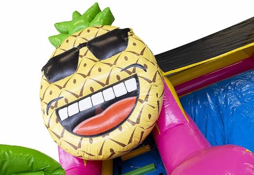 Buy inflatable compact slide bouncy castle for kids in hawaii theme