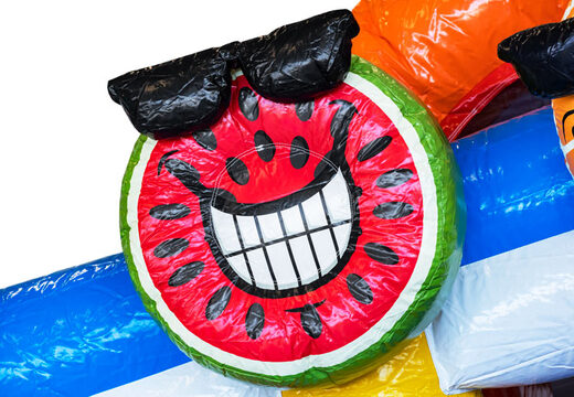 Order inflatable Mini Multiplay bouncy castle in theme Flamingo for children. Buy inflatable bouncy castles at JB Inflatables America