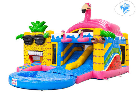 Order Multiplay Double Slide Bouncy Castle online at JB